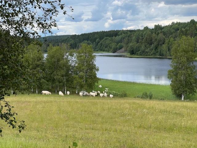 Annies Hus Villa Årjäng Kültér fotó